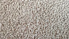 Lisäsin tämän multaan – ja kasvit lakkasivat mätänemästä ja kuihtumasta