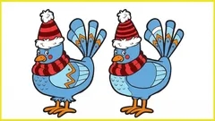 Vain 30 % ihmisistä pystyy löytämään kaikki viisi eroa 10 sekunnissa