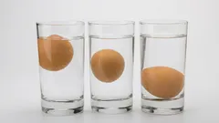 Älä syö pilaantuneita munia: tämä 10 sekunnin testi paljastaa niiden tuoreuden