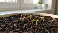 Taimet lakkaavat venymästä ja vahvistuvat päivä päivältä: pieni lisä, joka muuttaa kaiken