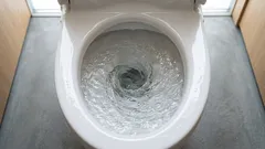 WC-istuimesta peräisin olevat bakteerit päätyvät jopa hammasharjaasi – näin voit välttää sen