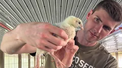 27-vuotias pankkiiri luopui 150 000 dollarin palkasta ja lähti kasvattamaan kanoja – ja tässä syy siihen