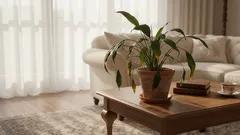 Lehdet roikkuvat ja kellastuvat? Älä kiirehdi kastelemaan – selvitä todellinen syy