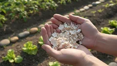 Heität sen turhaan pois! Missä munankuori todella pelastaa kasvit