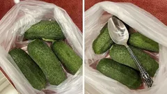 Rapeita kurkkuja jopa 10 päivää? Kaikki kiitos tavallisen ruokalusikallisen