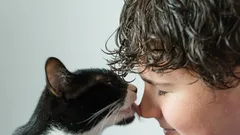 Kissojen tavat: miksi nuoleminen ei ole pelkkää hellyyttä